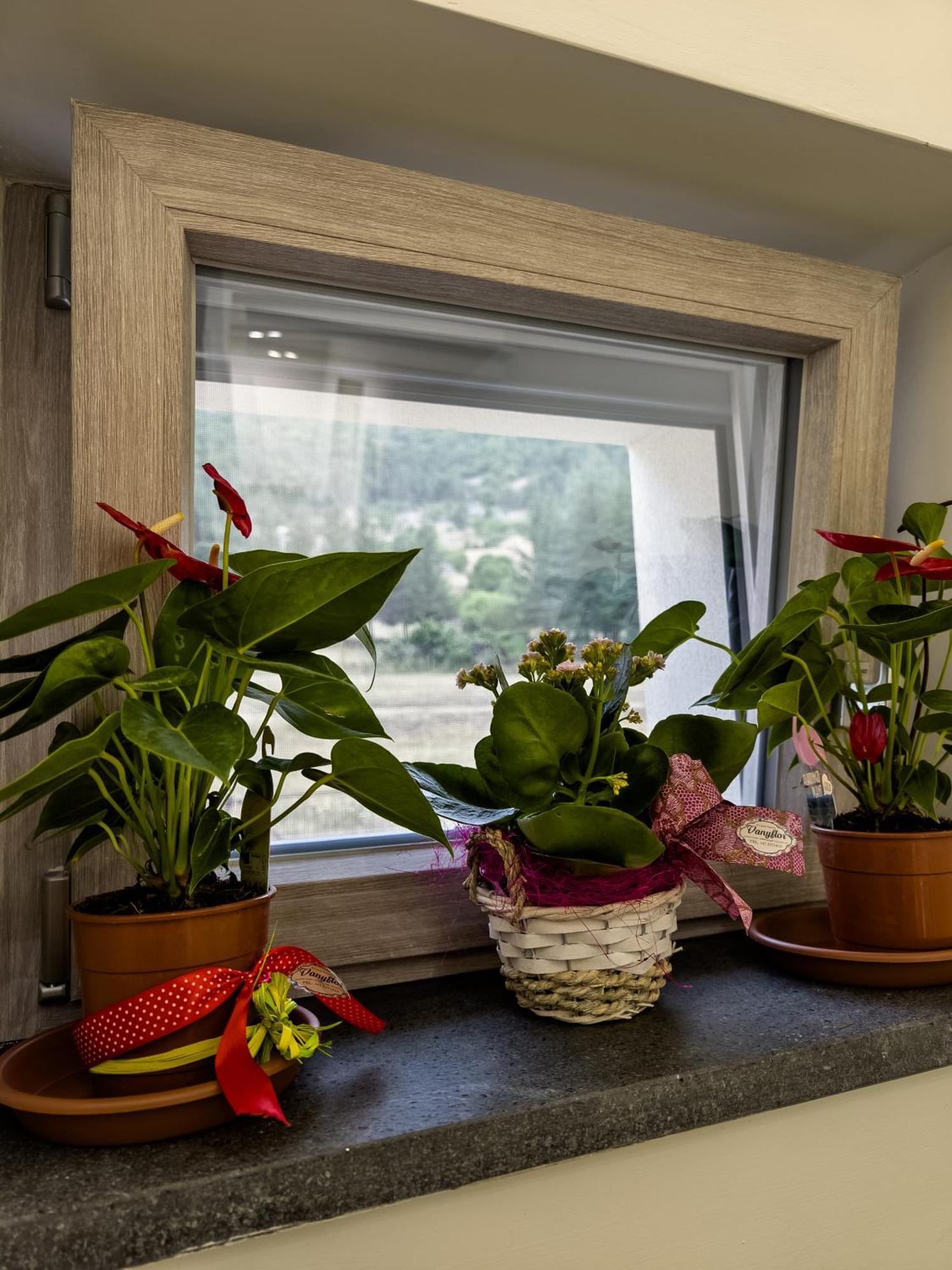 Bed & Breakfast Borgo Dei Cervi